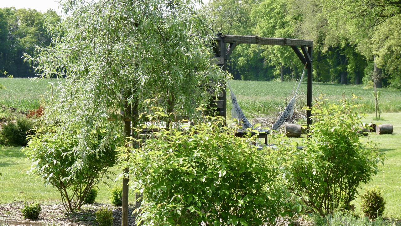 La Ligne Bed & Breakfast Angles-sur-lʼAnglin Dış mekan fotoğraf
